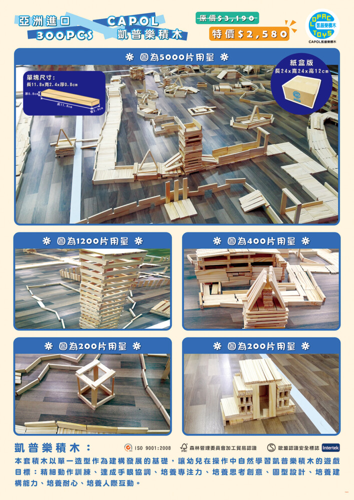 凱普樂單一積木CAPOL 300片