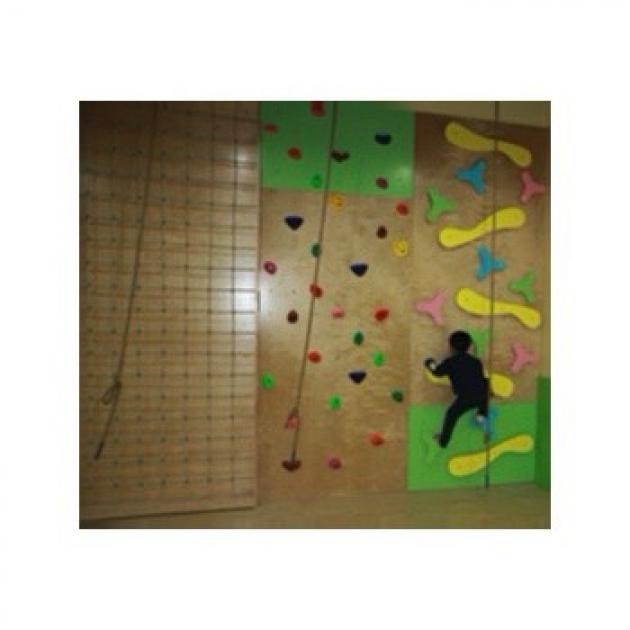 飛盤攀爬牆-小學版(圖右)