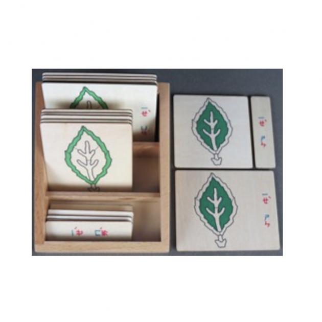 植物部分名稱三段卡-葉-注音（含盒子）