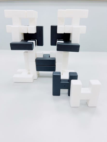 H建構積木(黑白色)