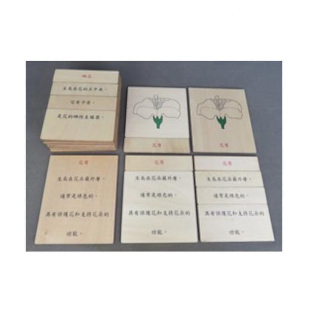 植物：花的定義卡-國字